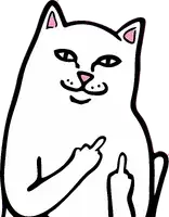 Codes promo Ripndip