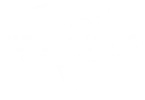 Code promo Supergusto